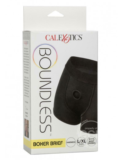 Черные трусы-боксеры BOUNDLESS BOXER BRIEF HARNESS L/XL