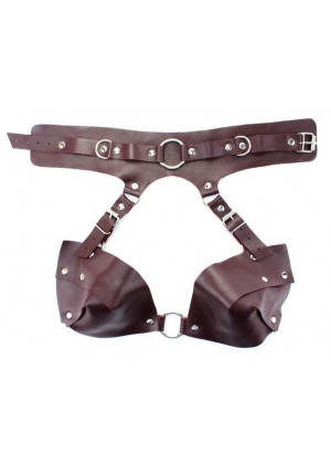 Бордовая сбруя из ошейника с лифом Maroon Harness